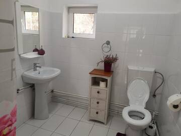 Фото номера Апартаменты с 3 спальнями Гостевой дом Casa Aurora г. Кэлимэнешти 28