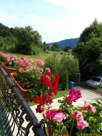 Фото номера Вилла с 2 спальнями Виллы Vila Giulia г. Кэлимэнешти 57
