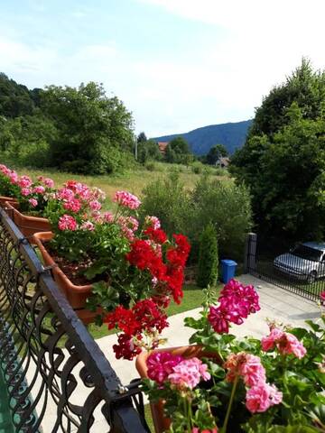 Фото номера Вилла с 2 спальнями Виллы Vila Giulia г. Кэлимэнешти 19