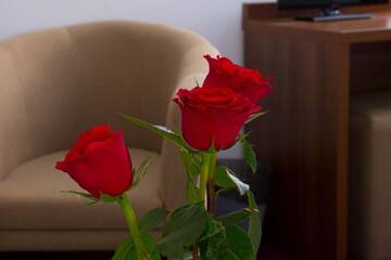 Фото номера Двухместный номер с 2 отдельными кроватями Отель Hotel Domnitei г. Кэлимэнешти 10