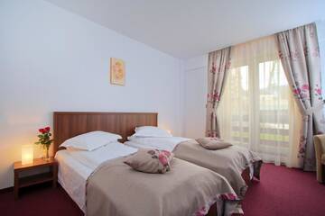 Фото номера Двухместный номер с 2 отдельными кроватями Отель Hotel Domnitei г. Кэлимэнешти 3
