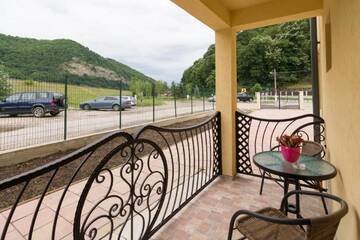 Фото номера Двухместный номер с 1 кроватью и террасой Гостевой дом Vila Poienița г. Кэлимэнешти 4