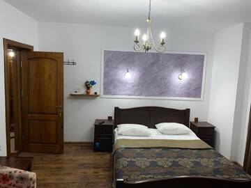 Фото номера Большой двухместный номер с 1 кроватью Гостевой дом Pensiunea Casa Rica г. Кэлимэнешти 16