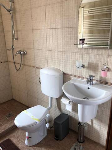 Фото номера Трехместный номер «Комфорт» Гостевой дом Pensiunea Casa Rica г. Кэлимэнешти 8