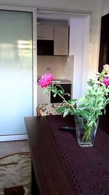 Фото номера Дом с 2 спальнями Дома для отпуска Casa Ana г. Кэлимэнешти 4