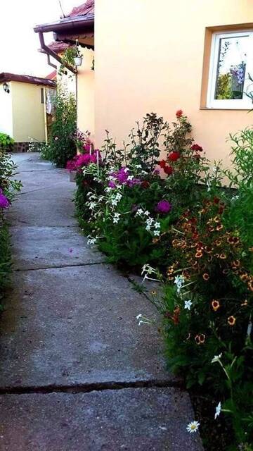 Фото номера Дом с 2 спальнями Дома для отпуска Casa Ana г. Кэлимэнешти 6